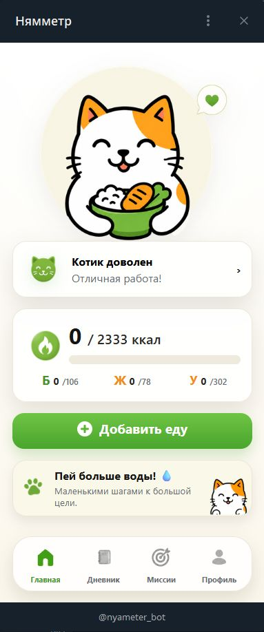 Главный экран Нямметра